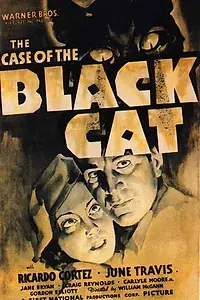 Постер к фильму «Дело о черном коте (1936)»