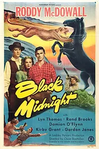 Постер к фильму «Black Midnight (1949)»