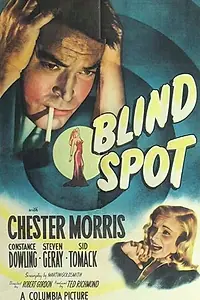 Постер к фильму «Blind Spot (1947)»