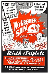 Постер к фильму «No Greater Sin (1941)»