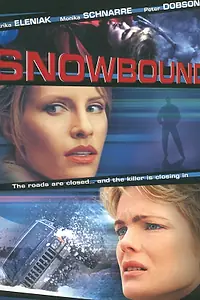 Главный постер фильма «Занесенный снегом (2001)»