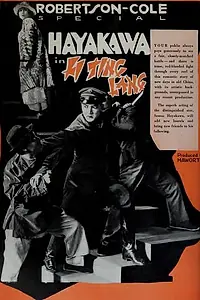 Постер к фильму «Жёлтые и белые (1920)»