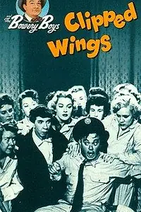 Главный постер фильма «Clipped Wings (1953)»