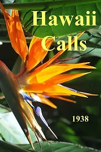 Постер к фильму «Hawaii Calls (1938)»