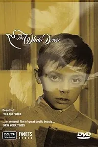 Главный постер фильма «The White Dove (1920)»