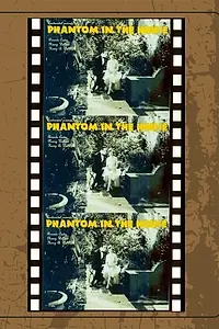 Главный постер фильма «The Phantom in the House (1929)»