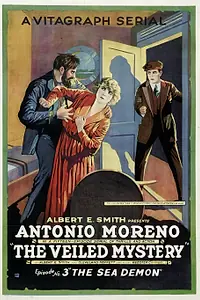 Главный постер фильма «The Veiled Mystery (1920)»