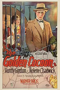 Постер к фильму «The Golden Cocoon (1925)»