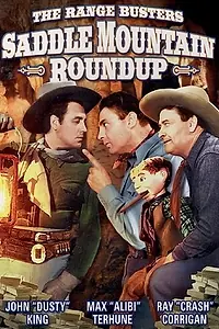 Постер к фильму «Saddle Mountain Roundup (1941)»