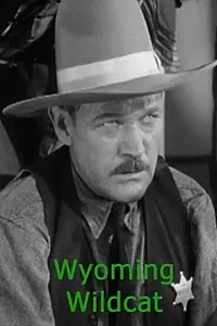 Главный постер фильма «Wyoming Wildcat (1941)»
