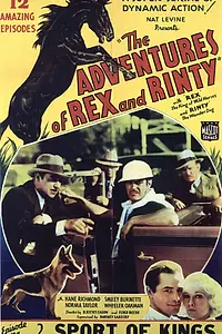 Главный постер фильма «The Adventures of Rex and Rinty (1935)»