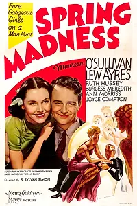 Главный постер фильма «Весеннее безумие (1938)»