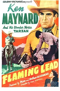 Постер к фильму «Flaming Lead (1939)»