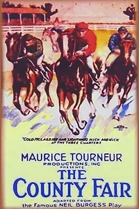 Постер к фильму «The County Fair (1920)»