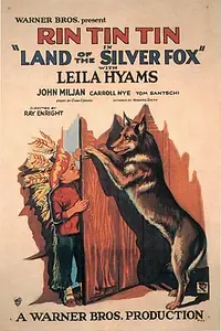 Главный постер фильма «Land of the Silver Fox (1928)»