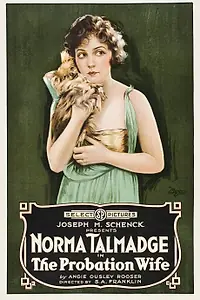 Главный постер фильма «The Probation Wife (1919)»