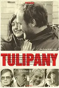 Постер к фильму «Тюльпаны (2004)»