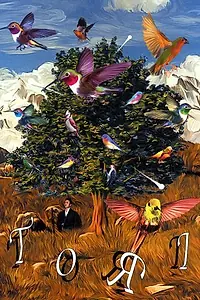Постер к фильму «Тори (2004)»