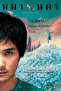 Постер к фильму «Городская собака (2004)»
