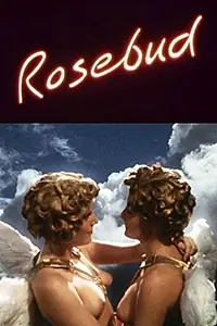 Постер к фильму «Rosebud (1991)»