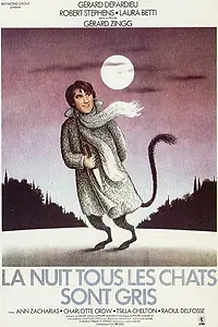 Главный постер фильма «Ночью все кошки серы (1977)»