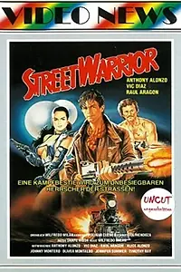 Главный постер фильма «Revenge of the Street Warrior (1987)»