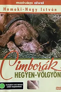 Постер к фильму «Дорога с приключениями (1960)»