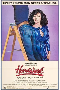 Постер к фильму «Домашняя работа (1982)»