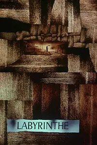 Главный постер фильма «Le labyrinthe (1970)»