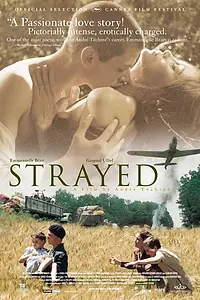 Главный постер фильма «Заблудившиеся (2003)»