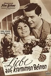 Главный постер фильма «Liebe auf krummen Beinen (1959)»