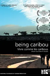 Постер к фильму «Being Caribou (2004)»