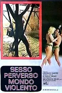 Главный постер фильма «Извращенный секс жестокого мира (1980)»