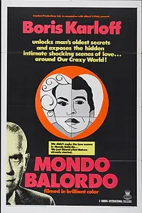 Постер к фильму «Мир дураков (1964)»