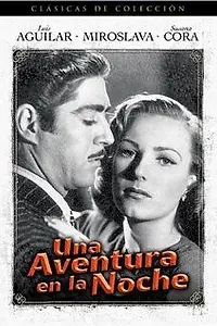 Главный постер фильма «Ночное приключение (1948)»