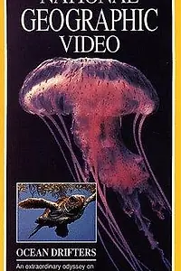 Главный постер фильма «Jellies & Other Ocean Drifters (1996)»
