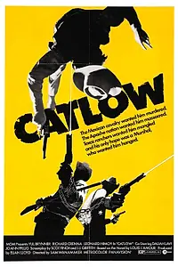 Главный постер фильма «Кэтлоу (1971)»
