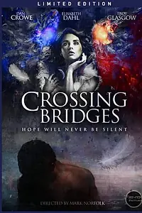 Главный постер фильма «Crossing Bridges (2007)»