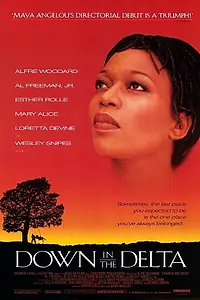 Главный постер фильма «Возвращение к истокам (1998)»