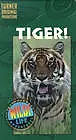 Постер к фильму «Tiger! (1997)»