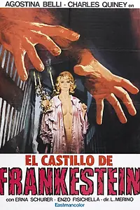 Главный постер фильма «Замок с огненными воротами (1970)»