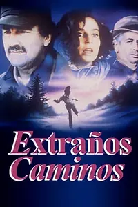 Постер к фильму «Странными путями (1993)»