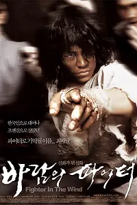 Главный постер фильма «Воин ветра (2004)»
