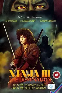 Главный постер фильма «Ниндзя III: Господство (1984)»