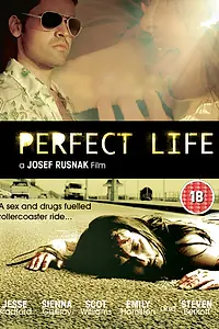 Главный постер фильма «Идеальная жизнь (2010)»