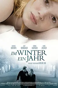 Постер к фильму «Зимой будет год (2008)»