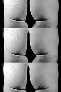 Главный постер фильма «Taylor Mead's Ass (1965)»