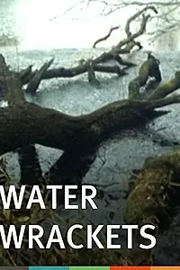 Постер к фильму «Жертвы воды (1975)»