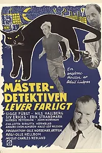 Главный постер фильма «Знаменитый сыщик рискует (1957)»