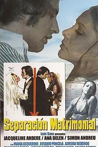 Постер к фильму «Развод (1973)»